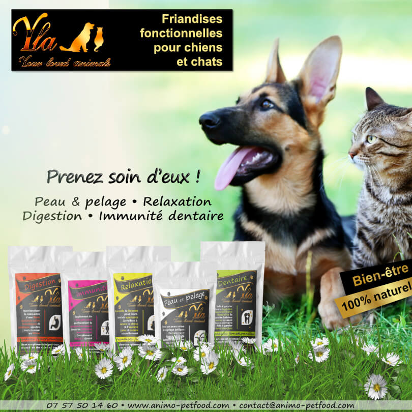 friandises-naturelles-hypoallergeniques-sans-cereales-pour-chiens-ou-chat